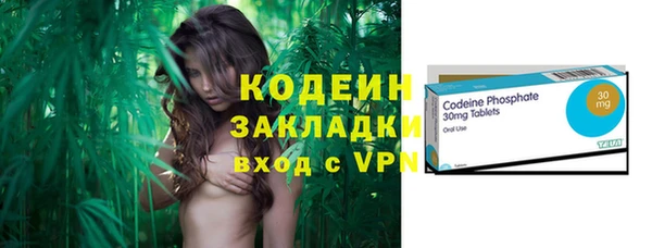 МДПВ Нея