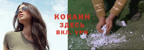 МДПВ Нея