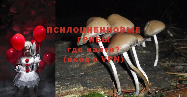 МДПВ Нея