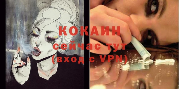 МДПВ Нея