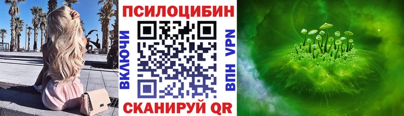 Галлюциногенные грибы Psilocybe  kraken ссылки  Шарыпово  darknet официальный сайт  дарнет шоп 