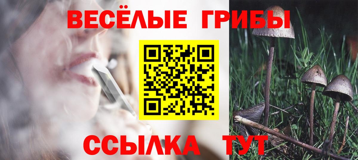 Псилоцибиновые грибы мухоморы Шарыпово